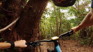 CAIRNS MTB - CLIFTONS TRACK - NO SHUTTLE REQUIRED