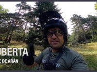 Auberta