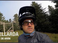 Guellarda