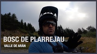 Bosc de Plarrejau