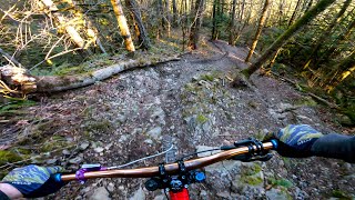 Fast Frozen Downhill MTB