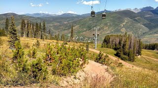 Mountain Biking Big Mamba and Liondown in Vail