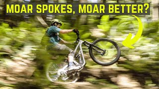 Should you ride 24 or 32 spokes?  Well, it...