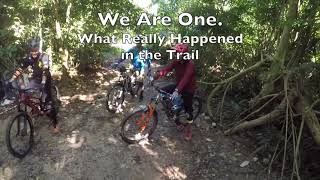 Bukit Timah MTB Trail | What Really Happened |...
