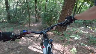 Valbasca dmkk trail