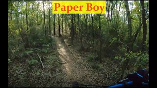 Paper Boy