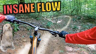 Walking Purchase Park PA - Gnarliest Trails