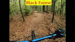 Black Forest Trail