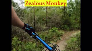 Zealous Monkey