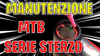 Guida alla manutenzione della Serie Sterzo!...