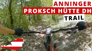 Proksch Hütte DH Mountain Bike Trail ☀️...