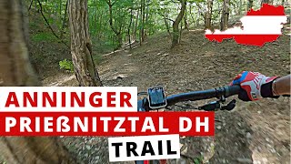 Prießnitztal DH Mountain Bike Trail  2021 |...