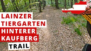 Hinterer Kaufberg Mountain Bike Trail  2021 |...