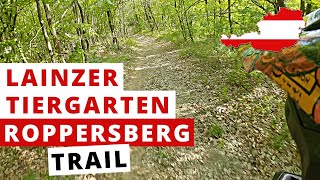 Roppersberg DH Mountain Bike Trail  2021 |...