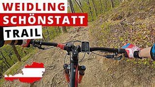Schönstatt  Trail  2021 | Wienerwald | From...