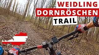 Dornröschen  Trail  2021 | Wienerwald | From...