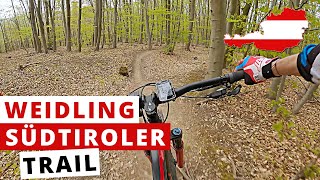 Südtiroler  Trail  2021 | Wienerwald | From...