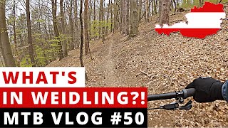 Looking for new trails in Weidling  2021 | MTB...