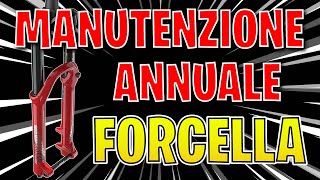 Forcella Rockshox Manutenzione ordinaria o...