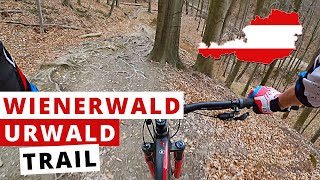 Urwald  Trail  2021 | Wienerwald | From VLOG...