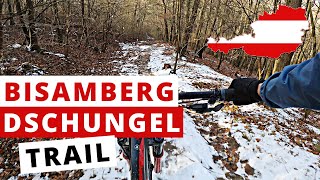 Dschungel  Trail  2020 | Bisamberg,...