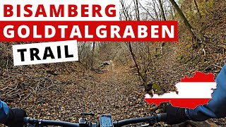 Goldtalgraben  Trail  2020 | Bisamberg,...