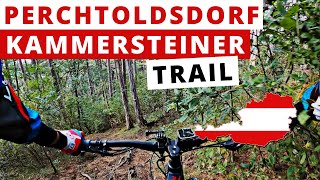 Kammersteiner Wurzeltrail  Trail  2020 |...