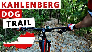 Dog  Trail ☀️ 2020 | Kahlenberg | From...