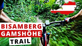 Gamshöhe  Trail ☀️ 2020 | Bisamberg |...
