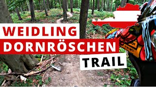 Dornröschen  Trail ☀️ 2020 | Weidling |...