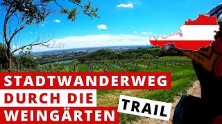 Stadtwanderweg durch die Weingärten  Trail...