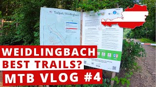 Best trails in Weidlingbach?  | MTB VLOG ️...