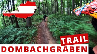 Dombachgraben Trail  2020 | Weidlingbach |...