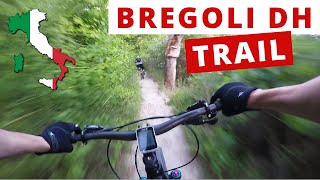 Bregoli Trail - Variante DH  | Casalecchio di...