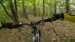 montorfano flow trail