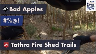 Bad Apples - Fire Shed Trails - Tathra, NSW