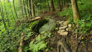 The Greylock Glen - Southside Mt Bike Trails