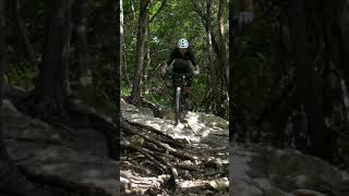 This Line was Mentally Sketchy! Of Course it...