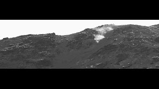 Scree Hunter | Isaac Luoni