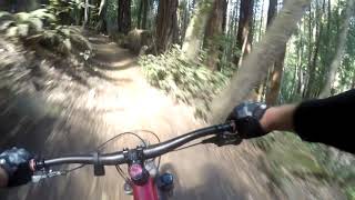 Wilder Ranch, Enchanted Forest