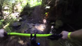 Fourforty Mountain Bike Park, New Zealand POV