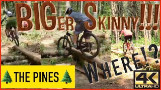 Finding the BIGer Skinny, 454 at The Pines...