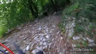 Mara Puscino