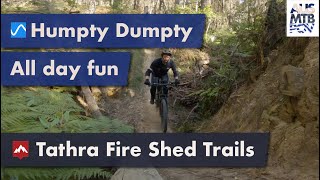 Humpty Dumpty - Fire Shed Trails - Tathra, NSW