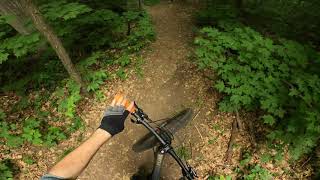 Intronaut/The Stick | Dufferin County Forest | MTB