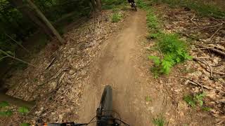 Ken's Extension | Dufferin County Forest | MTB