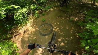 The Wheel | Dufferin County Forest | MTB