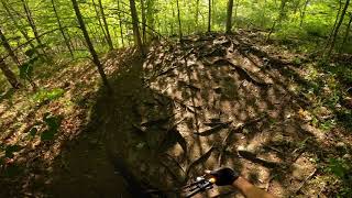 Root | Puslinch Tract / Twin Ponds | MTB