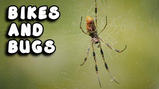 Wildlife Photography Bike Ride - Blue Springs...