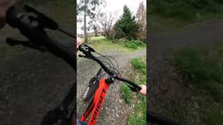 MTB FLOW TRAIL IN A PARK #shorts #mtb...